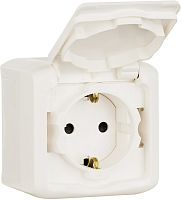 Розетка с заземлением накладная Legrand Quteo 1-м. крышка шторки IP44 белый картинка